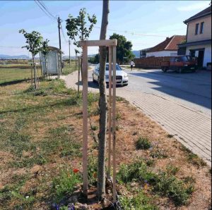 Shoqata Humanitare “Dumoshi” nis projektet për vitin 2026